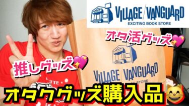 【キモすぎた購入品】ヴィレヴァンでオタクグッズ大量に仕入れた腐男子おばさん♡【1万円分】