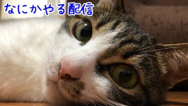 雑談